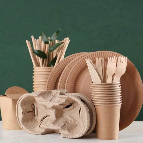 How to reduce your carbon footprint