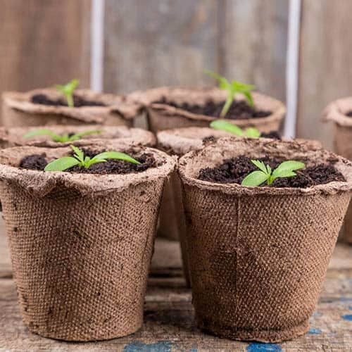 Sustainable holiday gift ideas