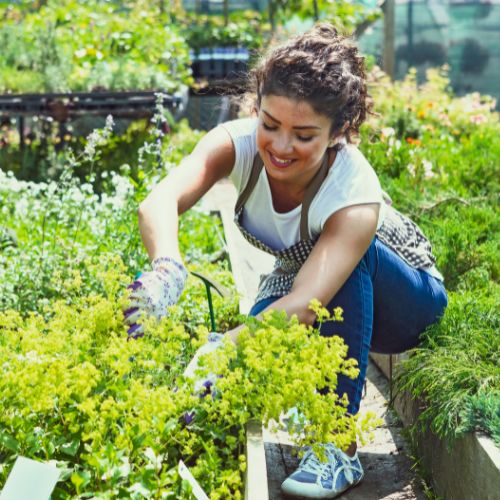 10 Essential Tips for Vegetable Gardening: A Beginner’s Guide to Growing Your Own Food