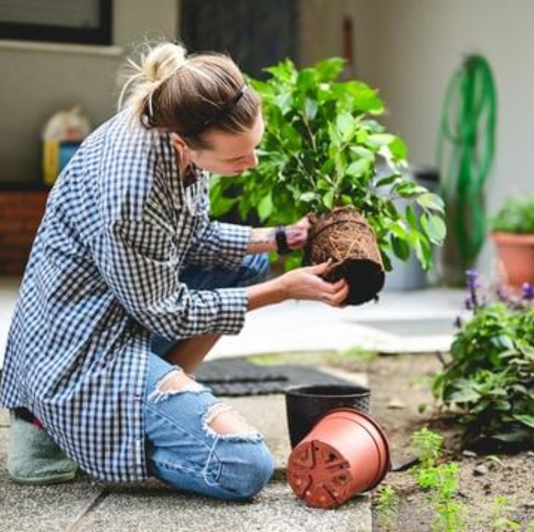 🌿 7 Secrets to Successful Outdoor Gardening That You Must Try Today!