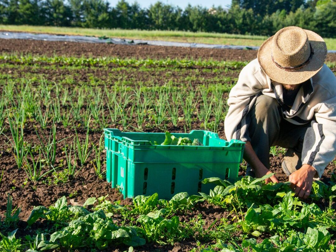 Biochemistry Innovations by mantech publication