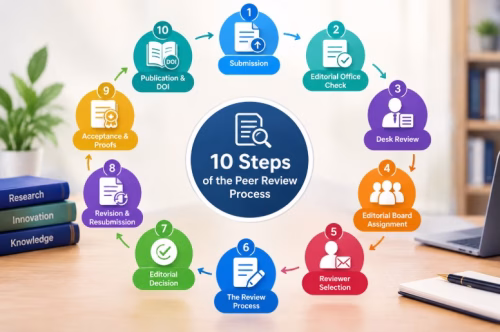 Peer review process steps